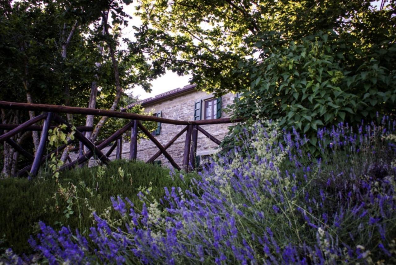 B&B Fonteabate - Residenza Di Charme Bagno di Romagna Exterior photo